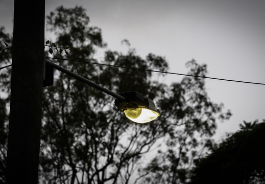 Brisbane Garden